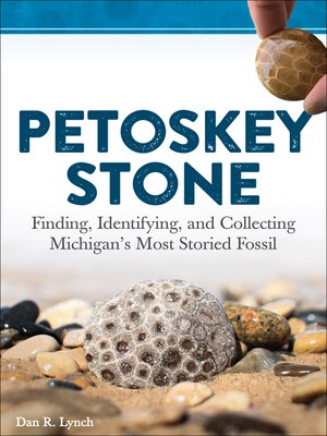 cover image of Petoskey Stone